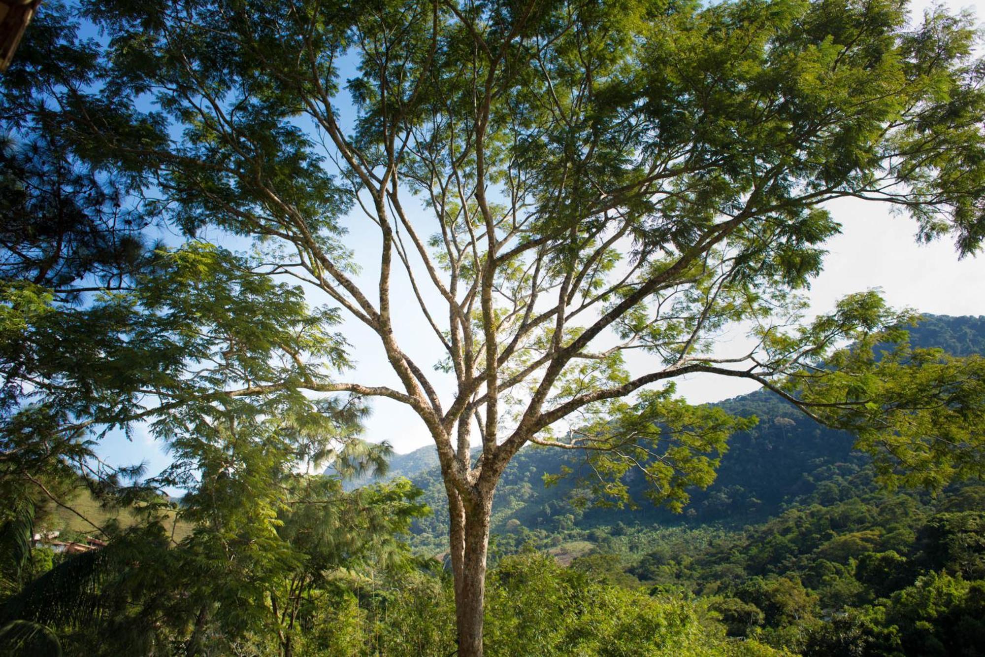 Pousada Cascata Casimiro de Abreu Szoba fotó